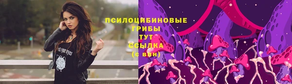 стаф Алексин