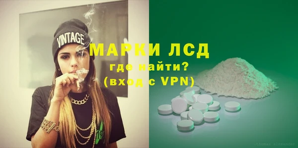 стаф Алексин