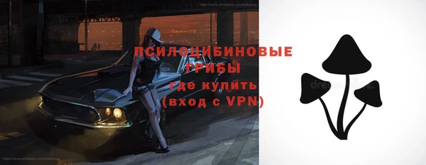 гашик Алексеевка