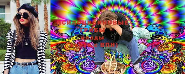 гашик Алексеевка
