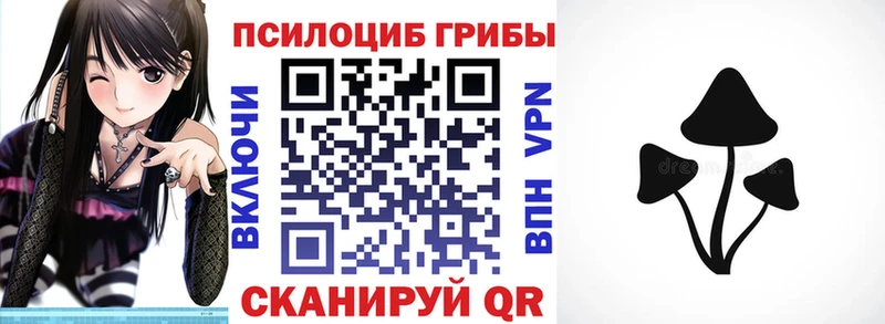 Псилоцибиновые грибы Cubensis  Сусуман 